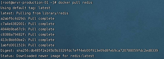 Docker下Redis集群(主从+哨兵)安装配置的实现步骤