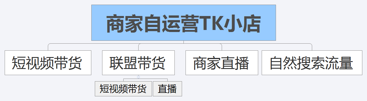 中国卖家如何通过tiktok进行卖货？